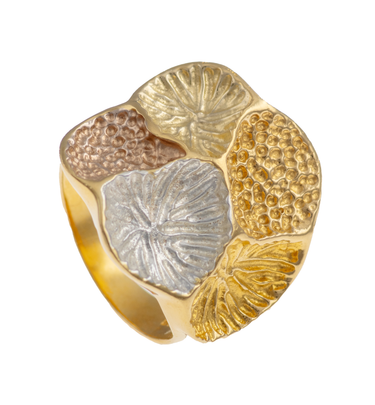 Anillo 5 Corales Bitono